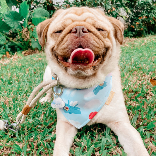 Red Lions Reversible Bandana