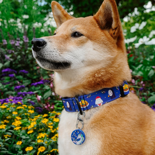 Classic Collar 1 Inch