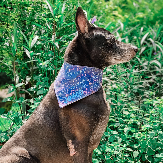 Singapore Special (Dark) Reversible Bandana