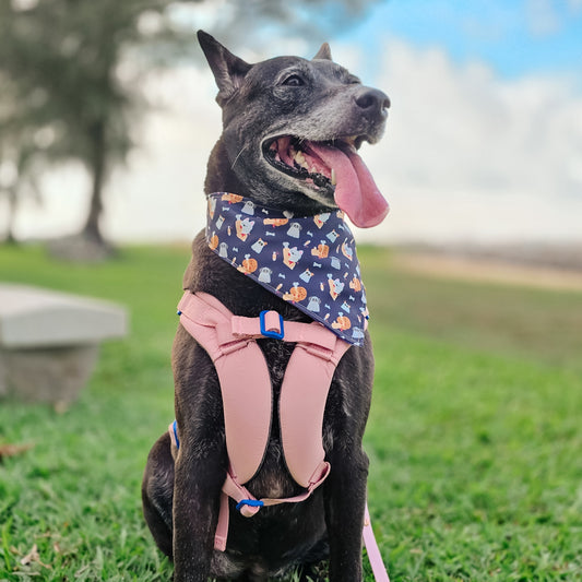 Doggo and Bone Reversible Bandana