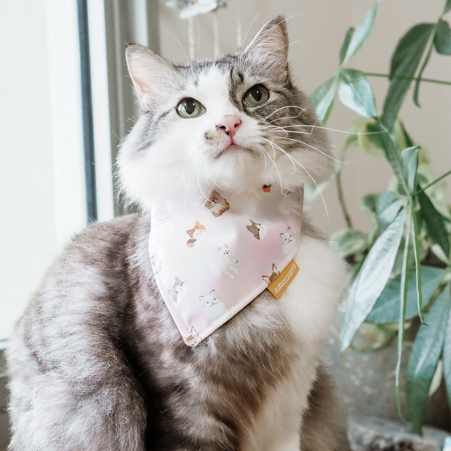 Playing cattos Reversible Bandana