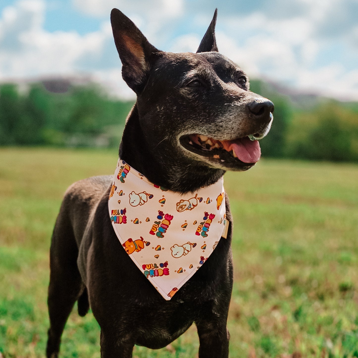 Pride Day Reversible Bandana