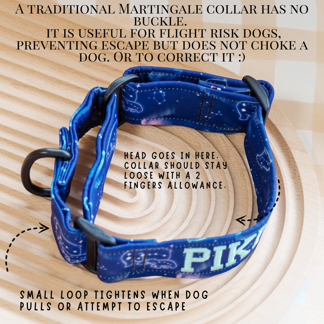 Martingale Collar 1.5" (Without Buckle)