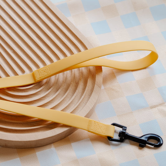 PVC Waterproof Leash (Butter Yellow) 1.5M