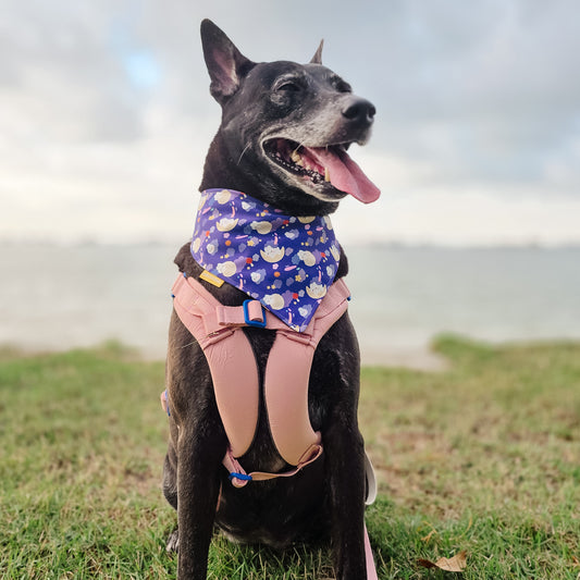 Moon Rabbit Reversible Bandana