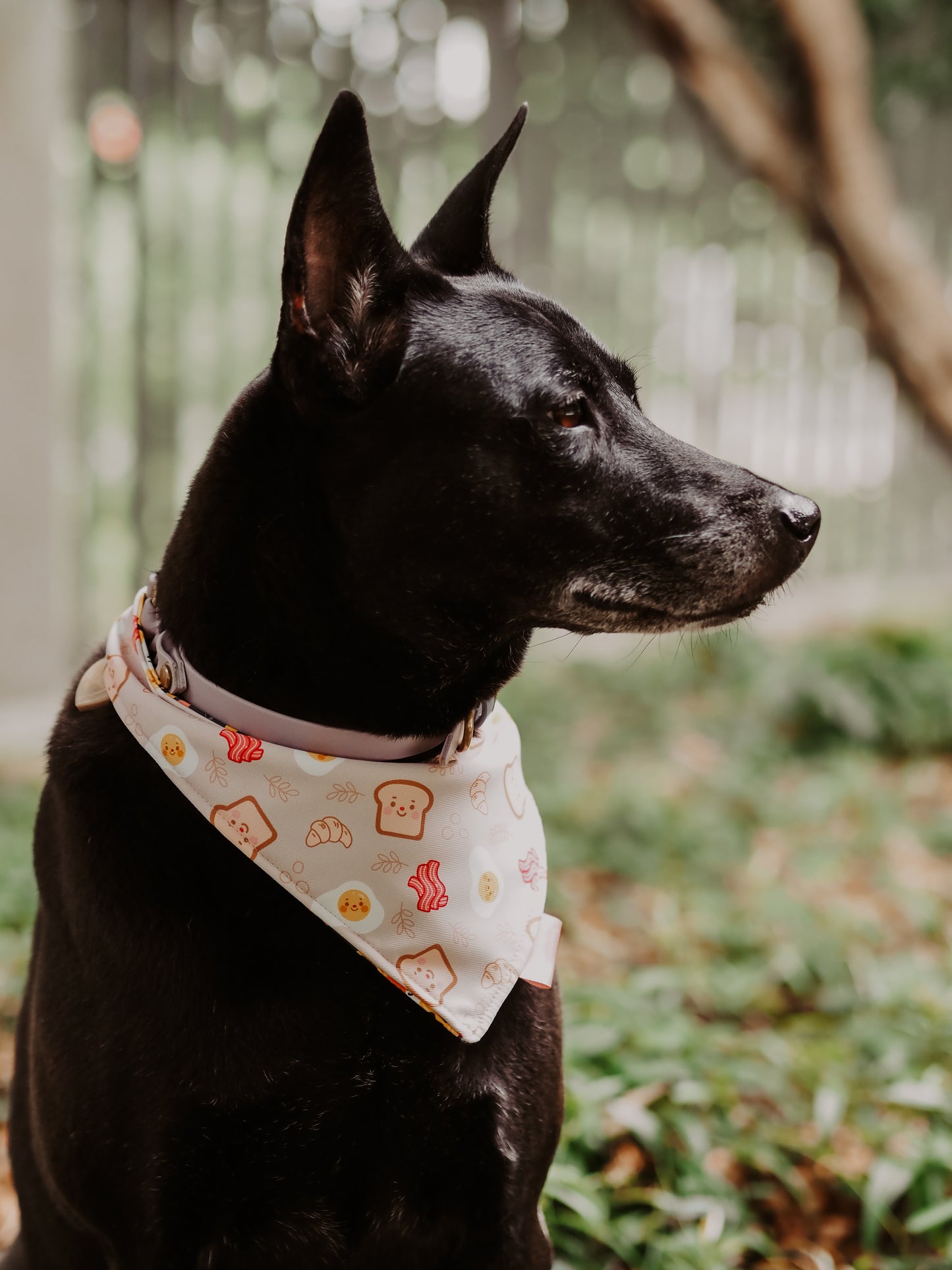 Breakfast Reversible Bandana