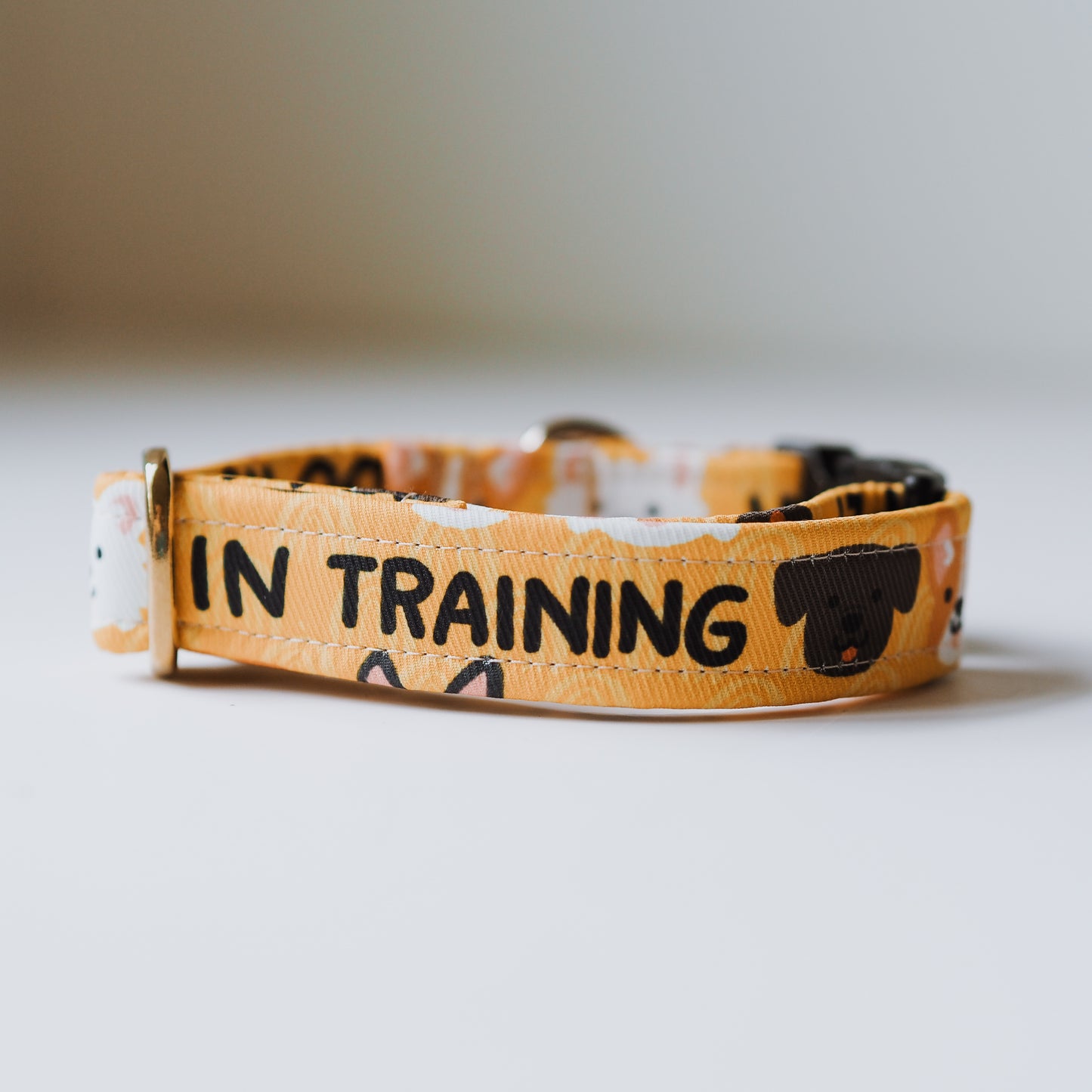 In Training Collar