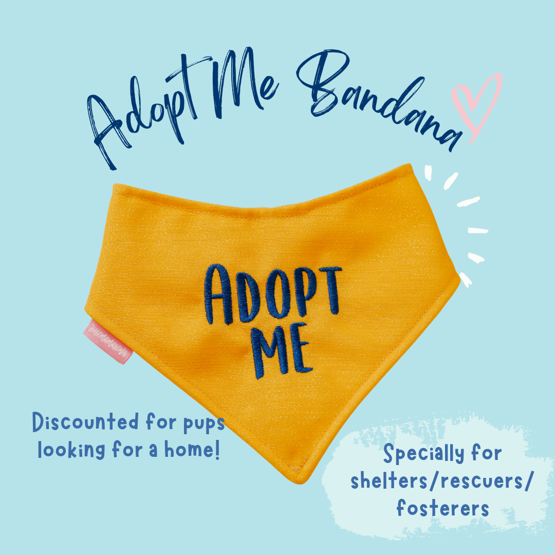 Adopt Me Bandana (Discounted pricing)
