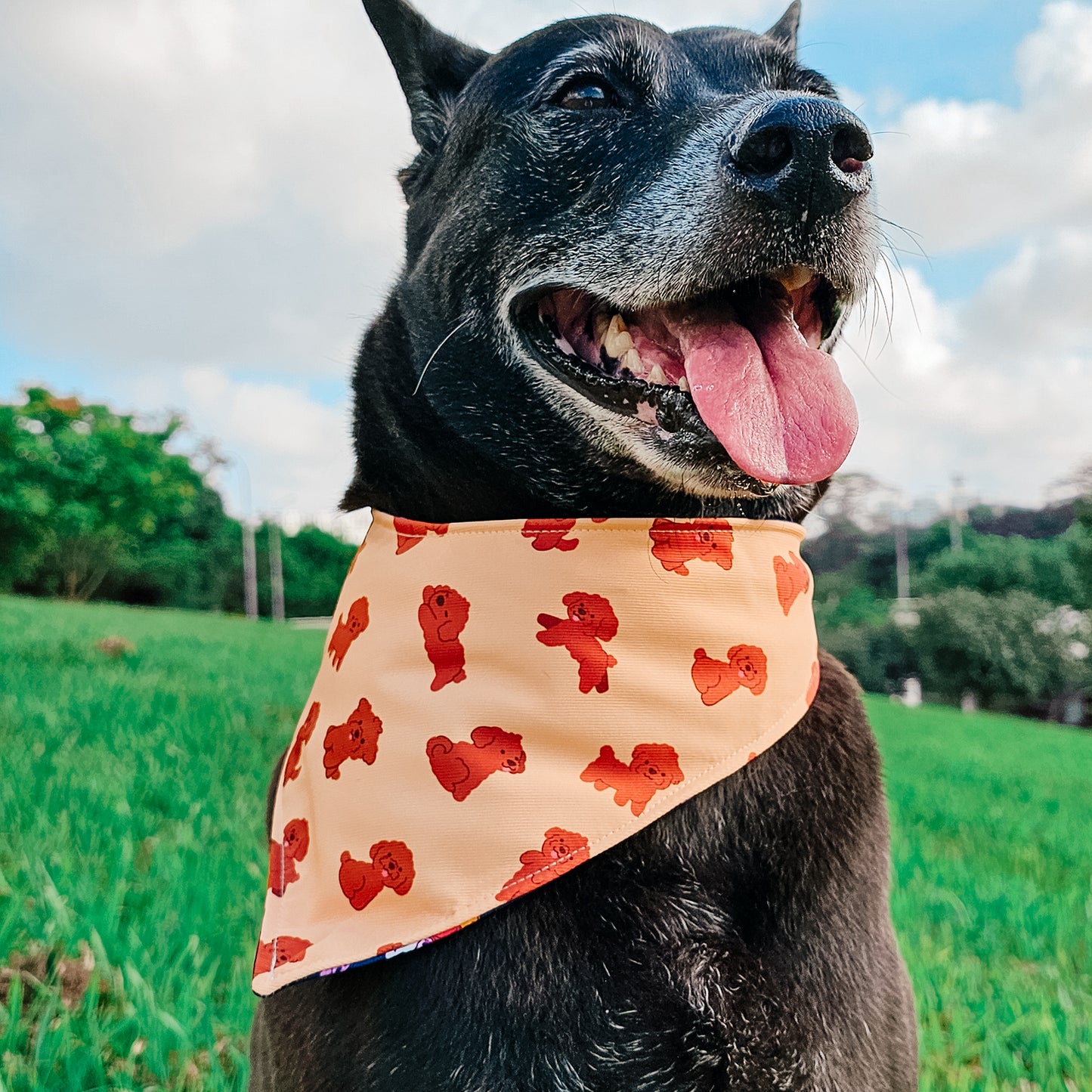 Poodles Reversible Bandana