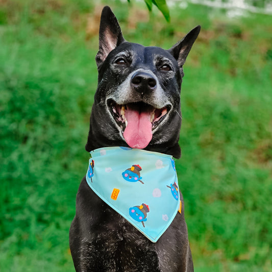 Chinese Vampire Reversible Bandana