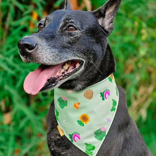 Plants vs Zombie (inspired!) Reversible Bandana