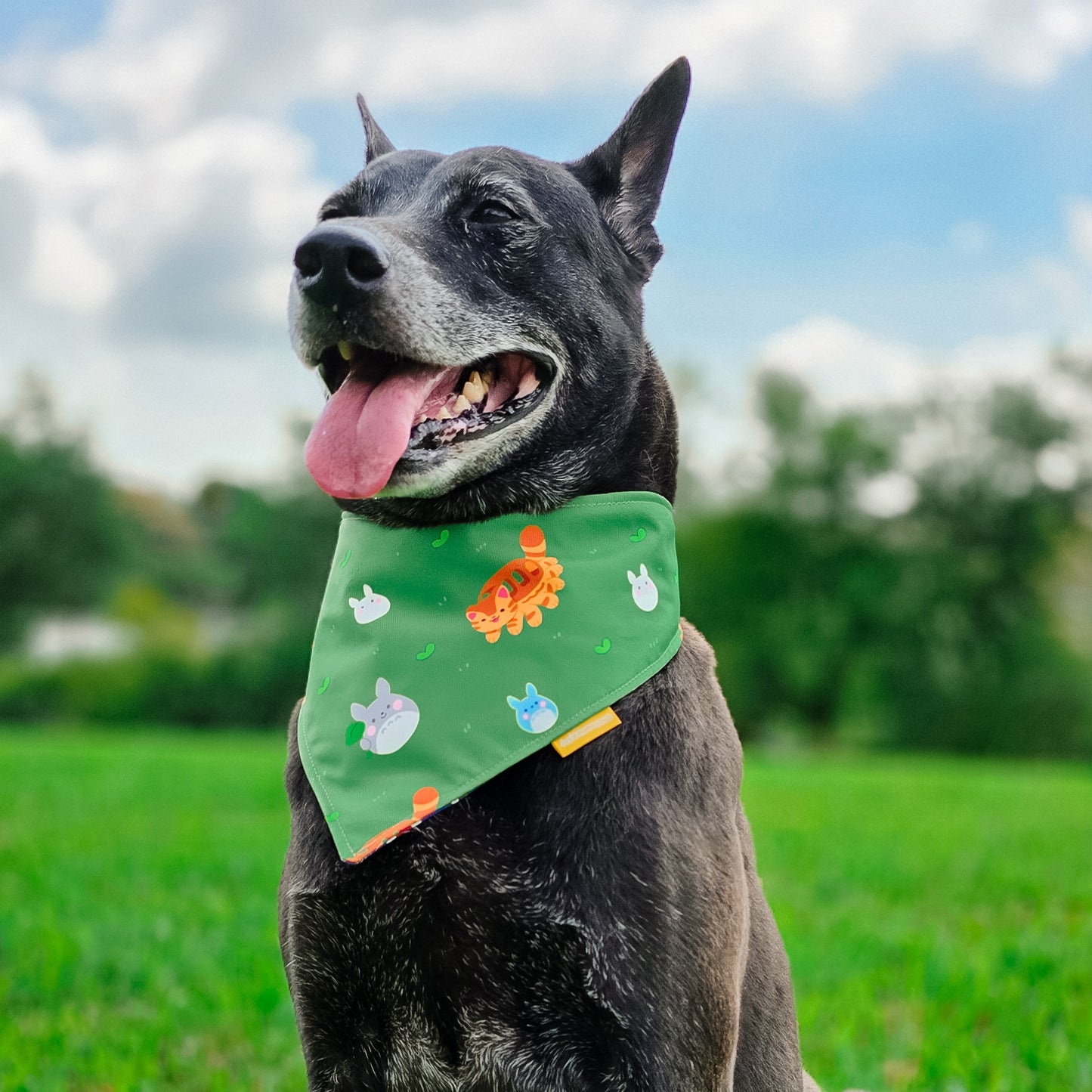 Totoro Reversible Bandana