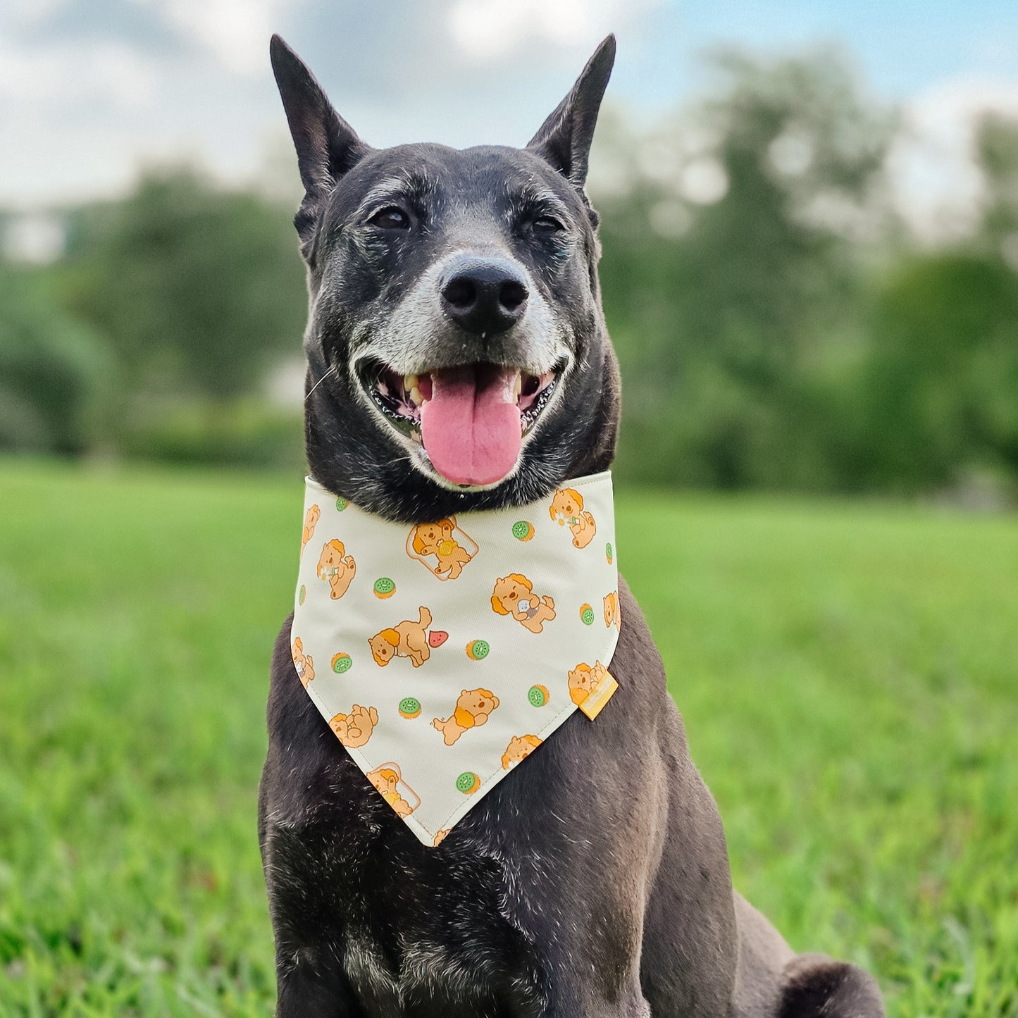 Poodle Kiwi Reversible Bandana