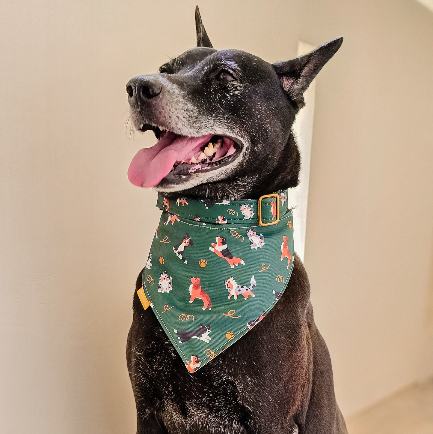 The Sheep Dogs Reversible Bandana