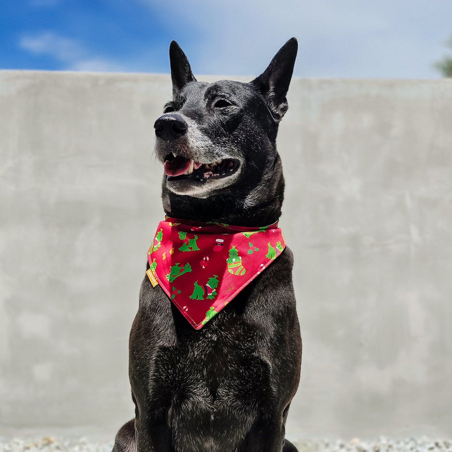 Grinch (Red) Reversible Bandana