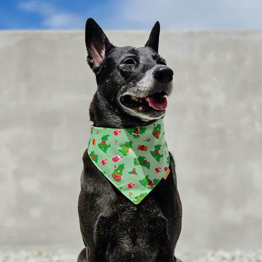 Grinch (Green) Reversible Bandana