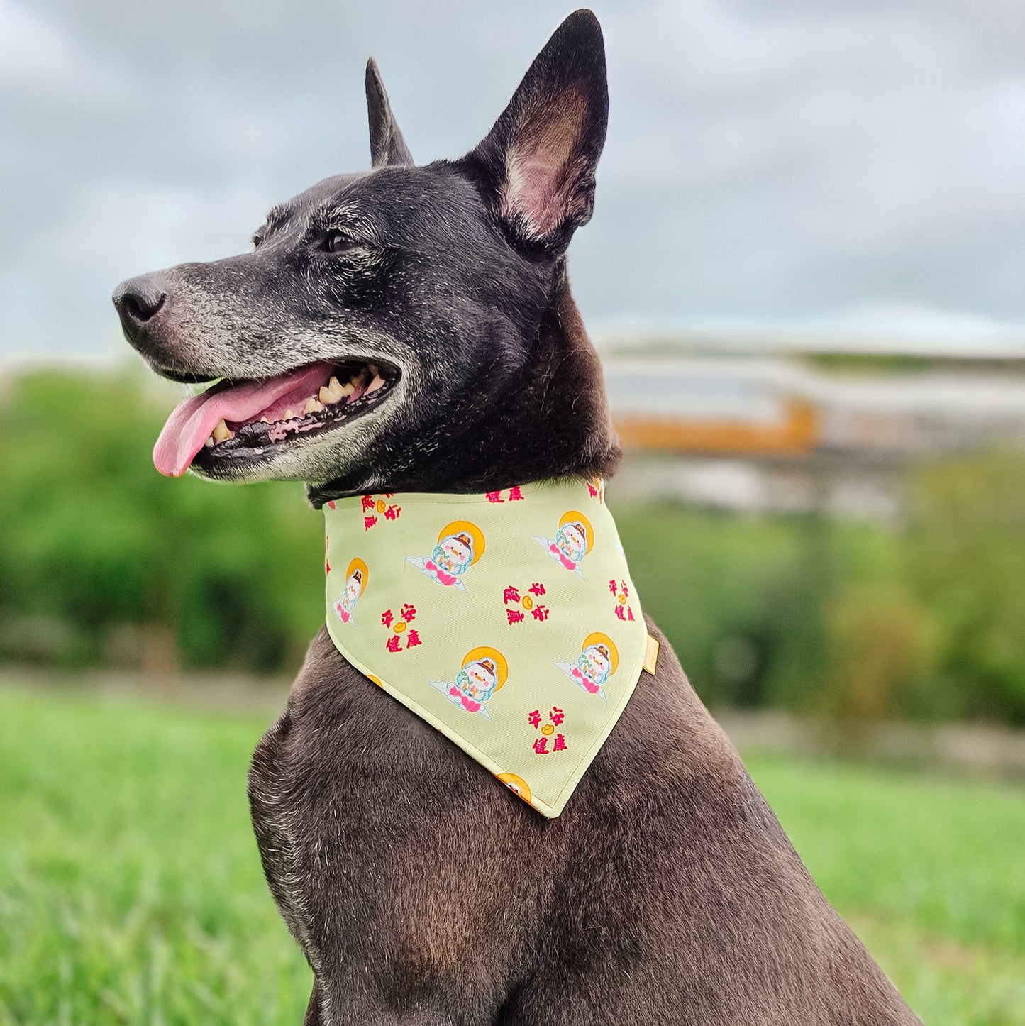 Guan Yin Ma Reversible Bandana (Yellow)