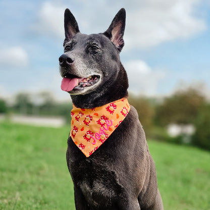 Lion Dance Reversible Bandana