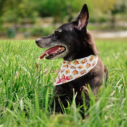 Lucky Doggos Reversible Bandana