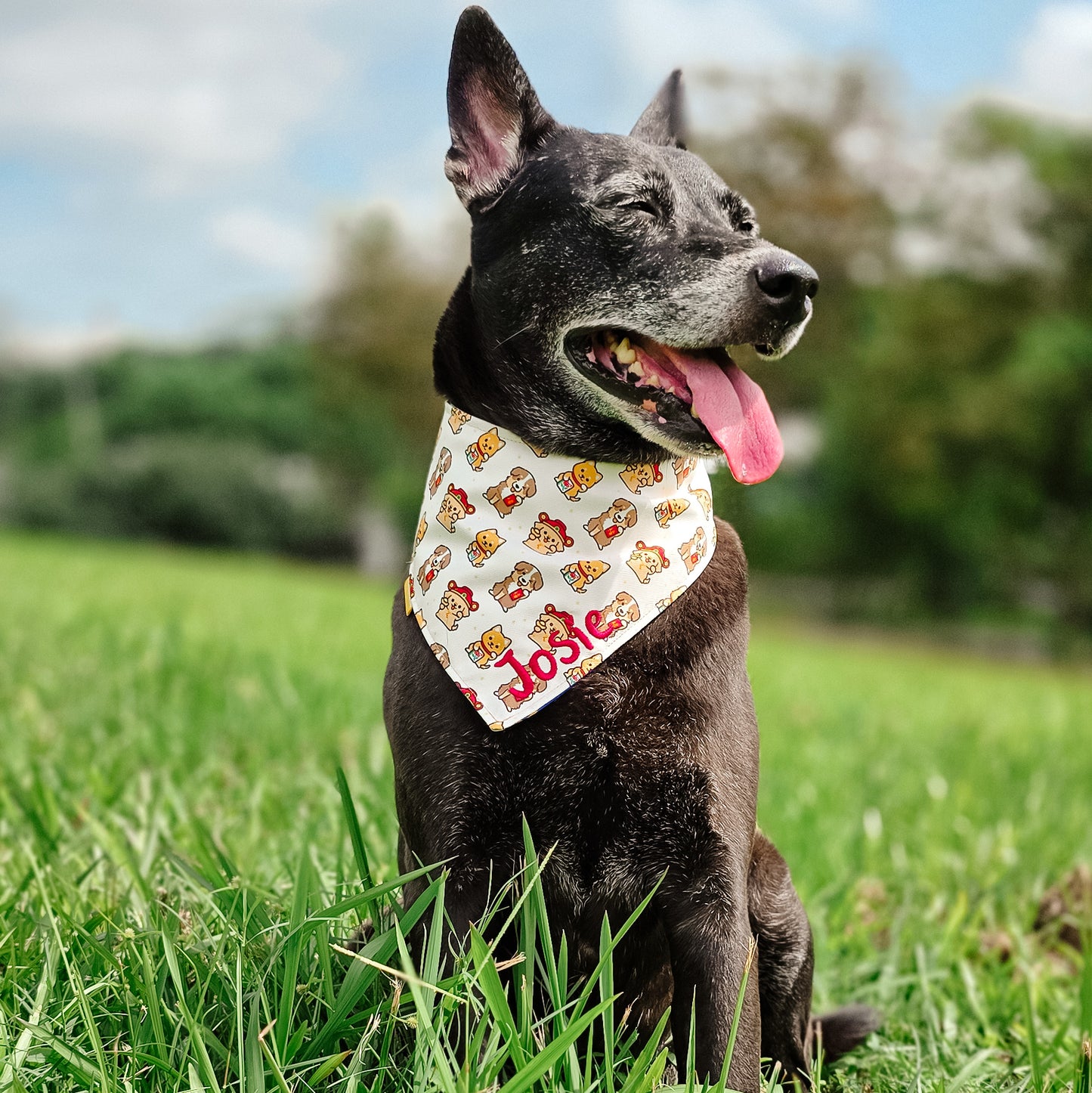 Lucky Doggos Reversible Bandana