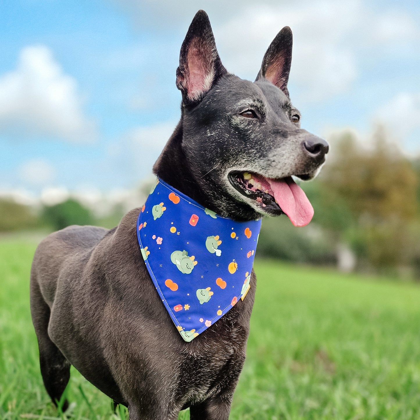 CNY Dragon (Blue) Reversible Bandana