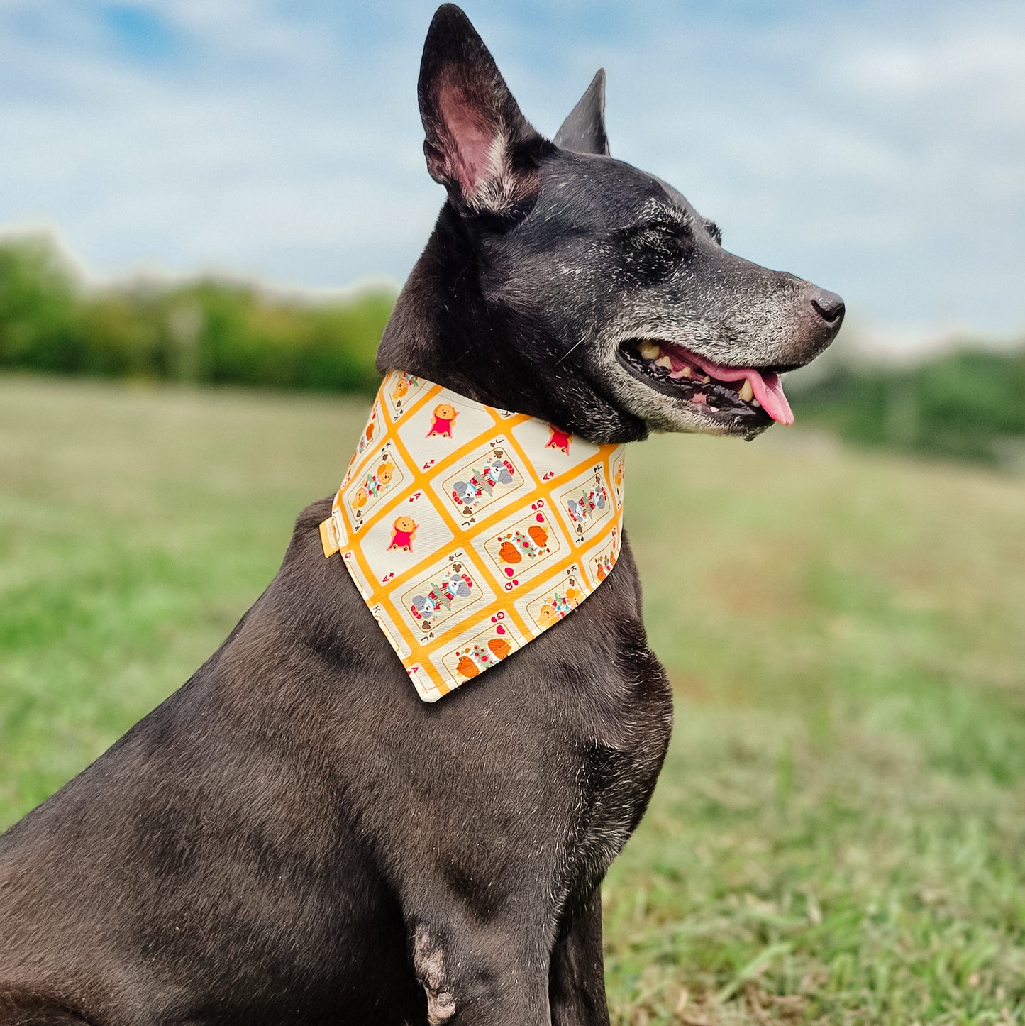 Pokercards Reversible Bandana