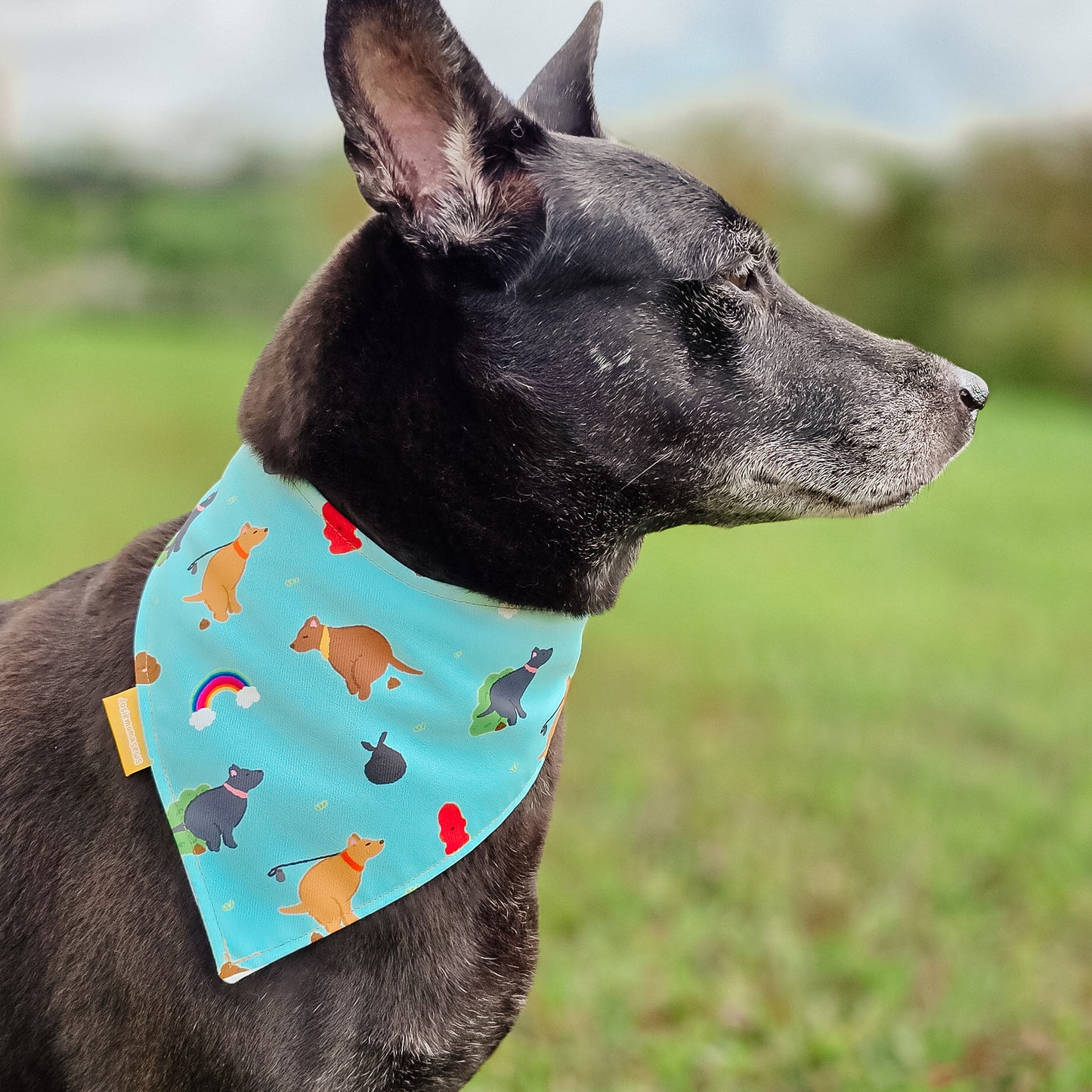 Poop Picker Club Reversible Bandana