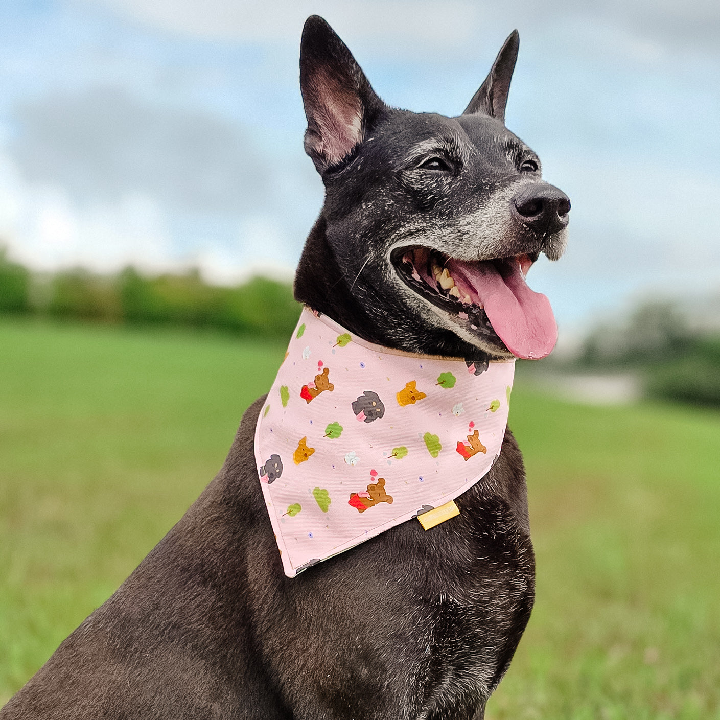 Singapore Special (Pink) Reversible Bandana