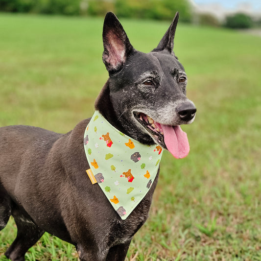 Singapore Special (Green) Reversible Bandana