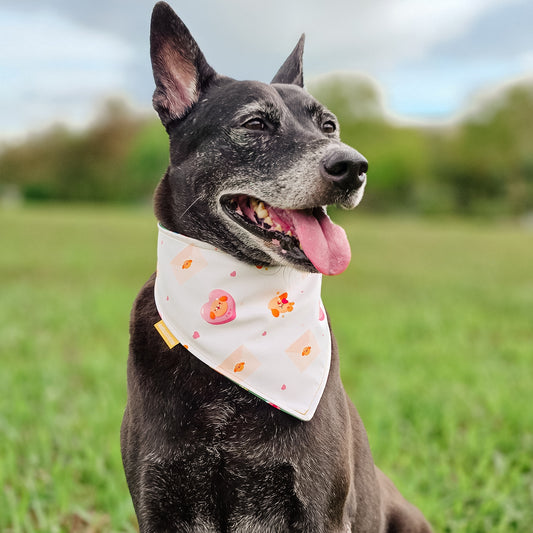 Valentine Reversible Bandana