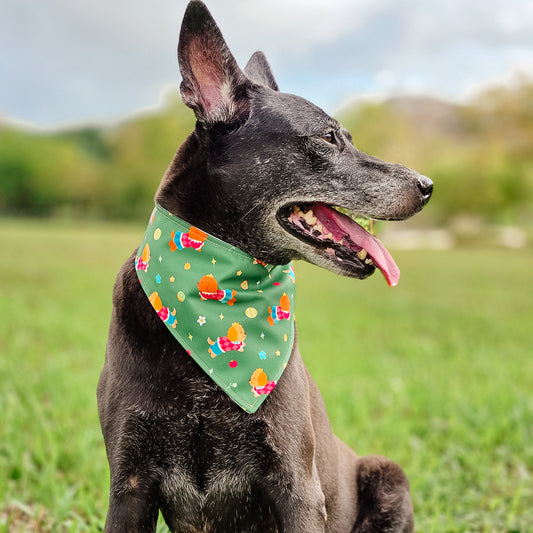 Wonderland Reversible Bandana