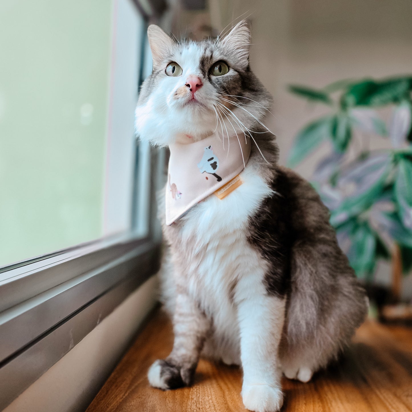 Poop Picker (Cats) Reversible Bandana