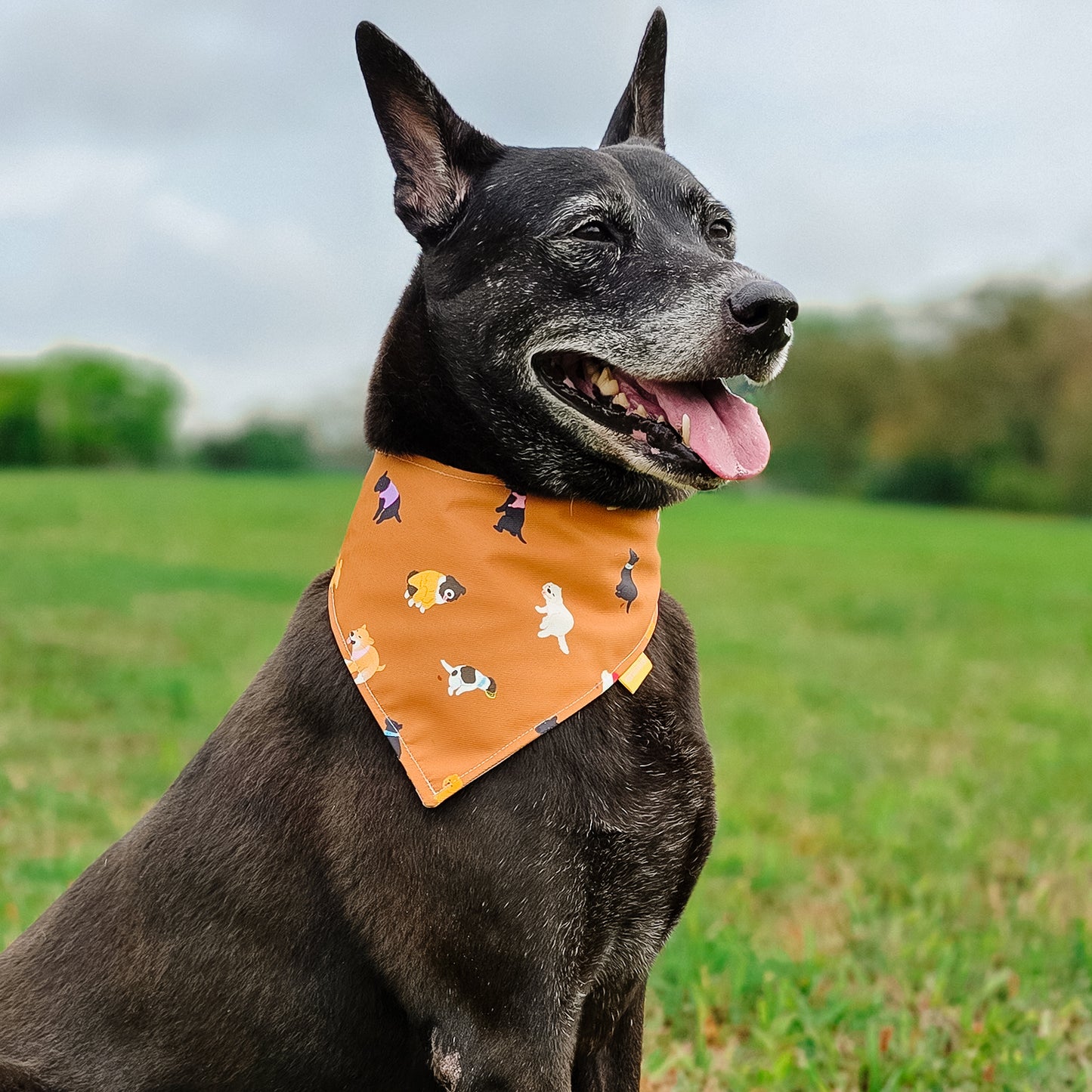 Poop Picker (Dogs) Reversible Bandana