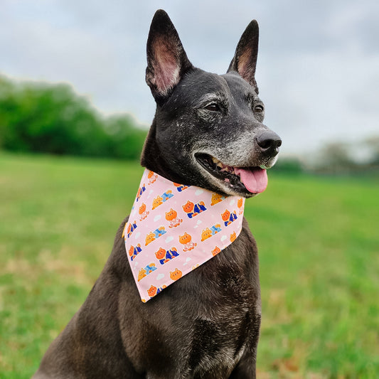 Kimono Shiba Reversible Bandana