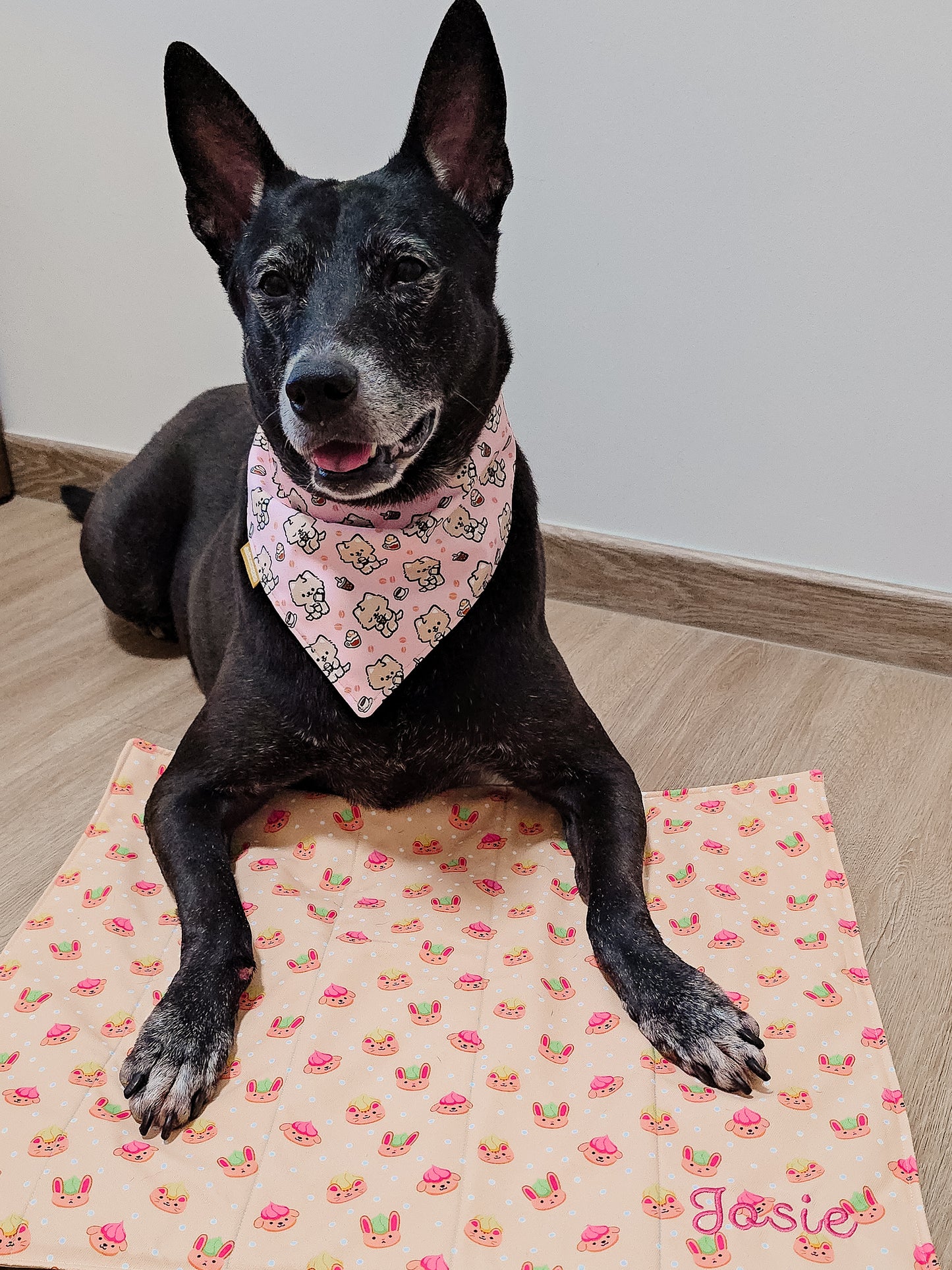 Personalised Chew Mat