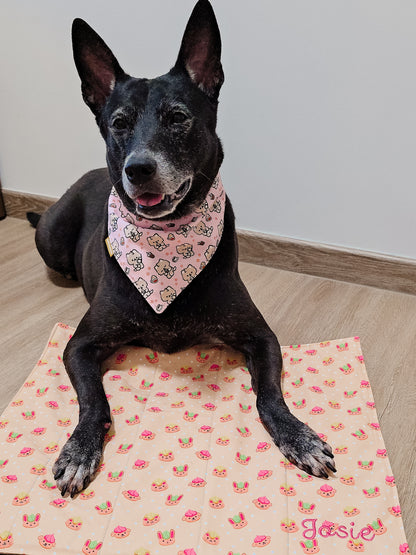 Personalised Chew Mat