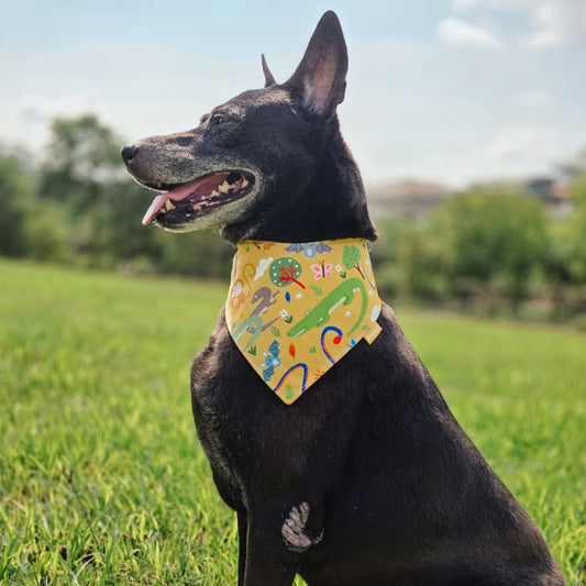 SG Wildlife (Yellow) Reversible Bandana