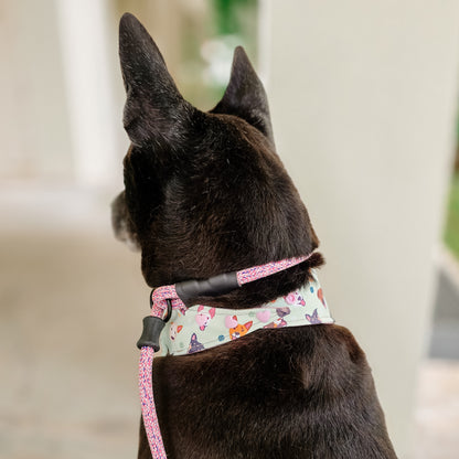 SS - Mixed Reversible Bandana