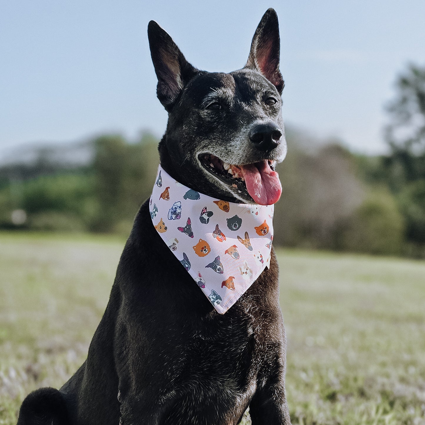 Rescued Dogs Reversible Bandana