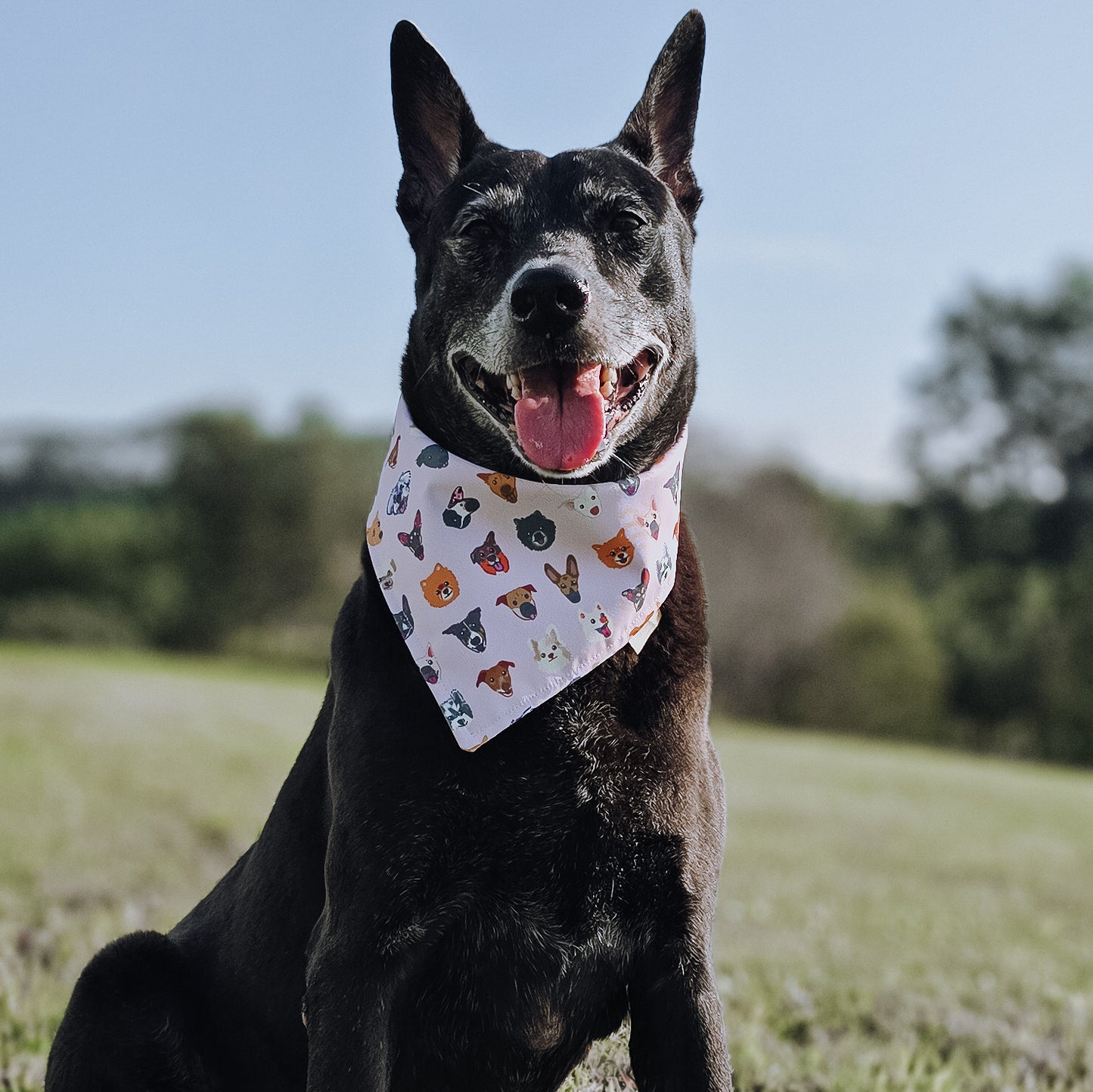 Rescued Dogs Reversible Bandana