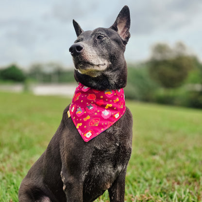 Pawsperous Blooms (Plum) Reversible Bandana