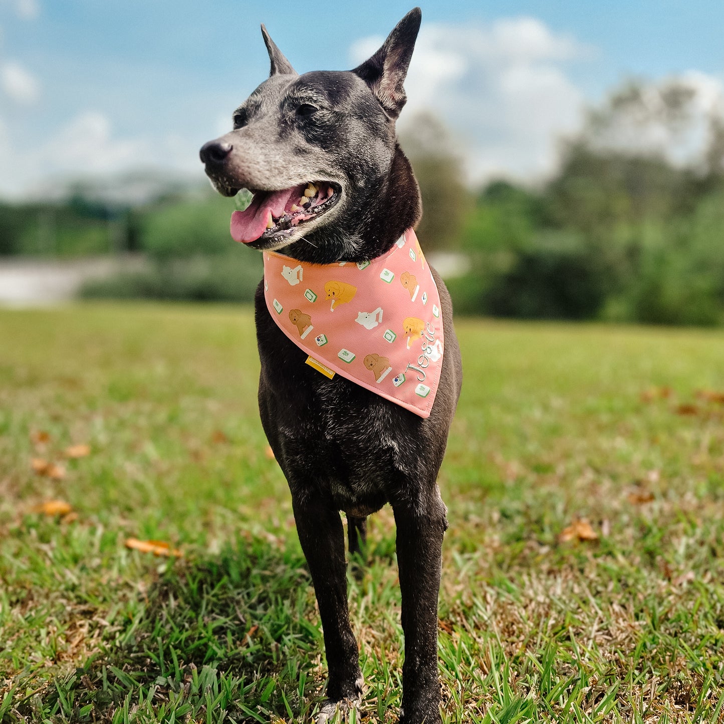 Mahjong Paws Reversible Bandana
