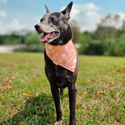 Mahjong Paws Reversible Bandana