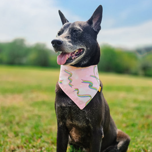 Pride Ribbon Reversible Bandana