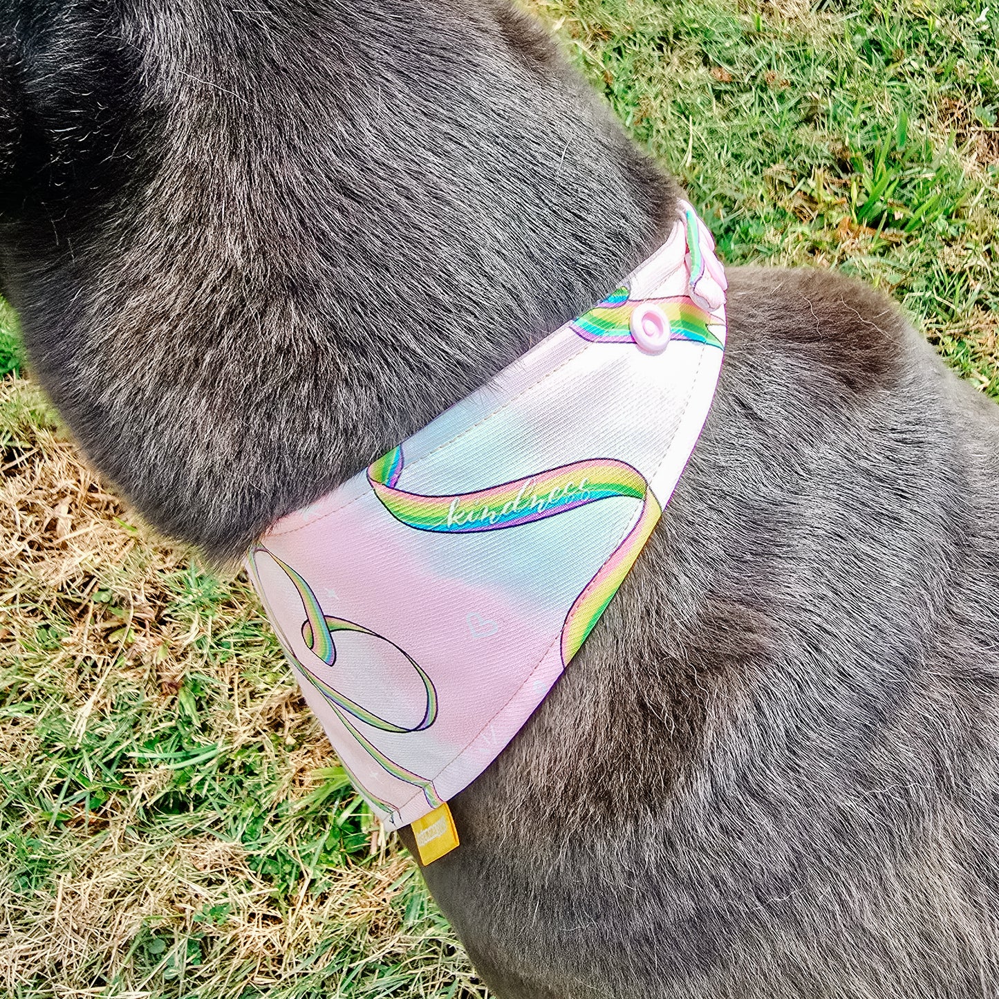 Pride Ribbon Reversible Bandana