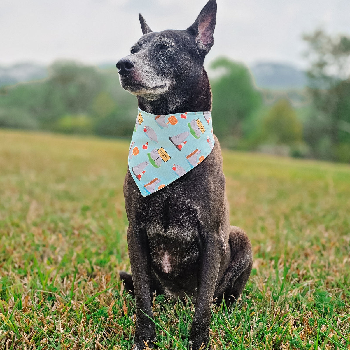 Neil The Seal Reversible Bandana