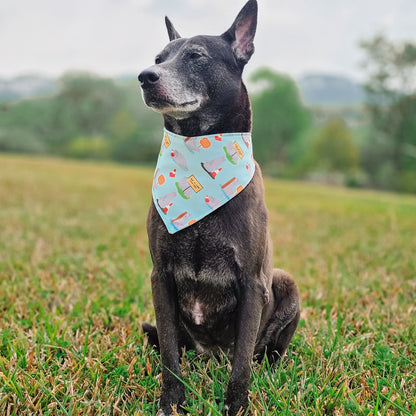 Neil The Seal Reversible Bandana