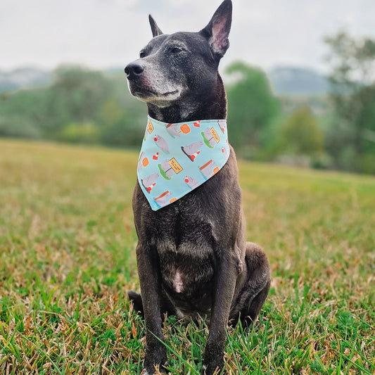 Neil The Seal Reversible Bandana