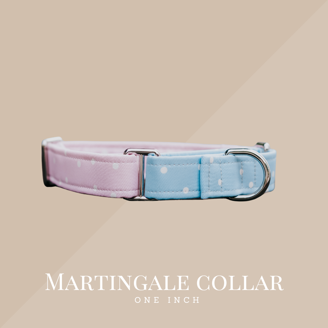 Martingale Collar 1"