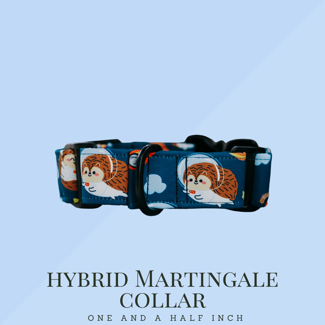 Hybrid Martingale Collar 1.5 Inch (Black)
